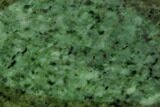 Polished Canadian Jade (Nephrite) Slab - British Colombia #117634-1